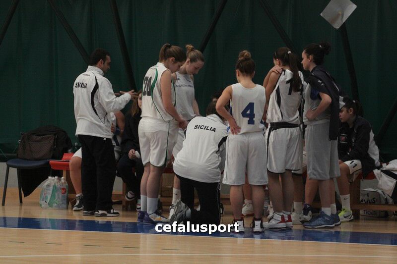 120218 basket 350_tn.jpg